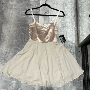 Express Dress - Millennial Pink NWT